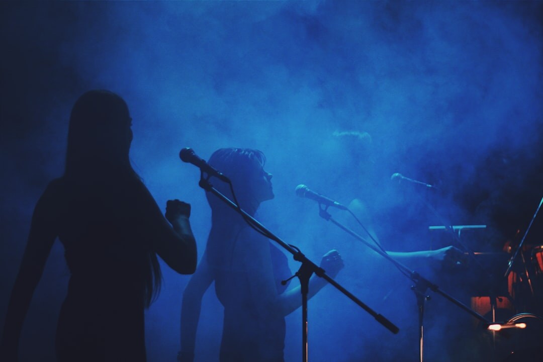 artist performing live